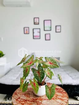house cover