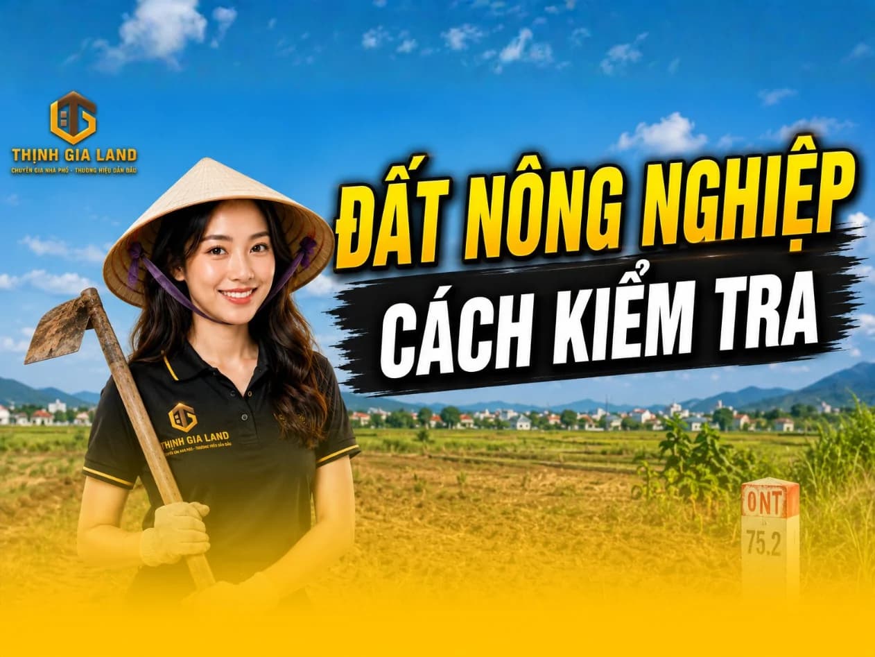 Kiểm tra pháp lý đất nông nghiệp Vũng Tàu trước khi mua bán