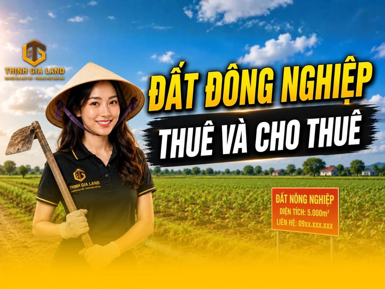 Kiểm tra pháp lý đất nông nghiệp Vũng Tàu trước khi thuê hoặc cho thuê