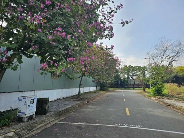trường mầm non Phước Thắng mùi hôi