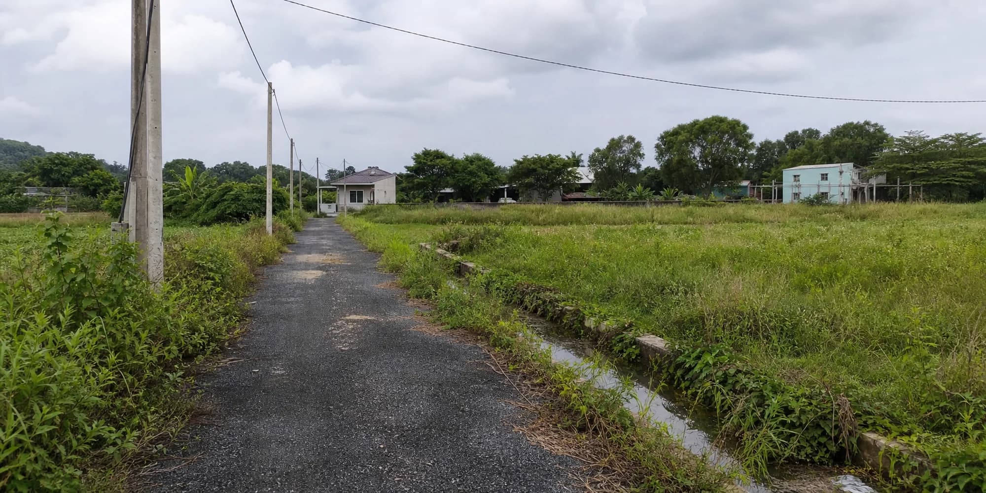 Đường vào thửa đất nông nghiệp Vũng Tàu tại Vũng Tàu cần được kiểm tra trước khi mua bán