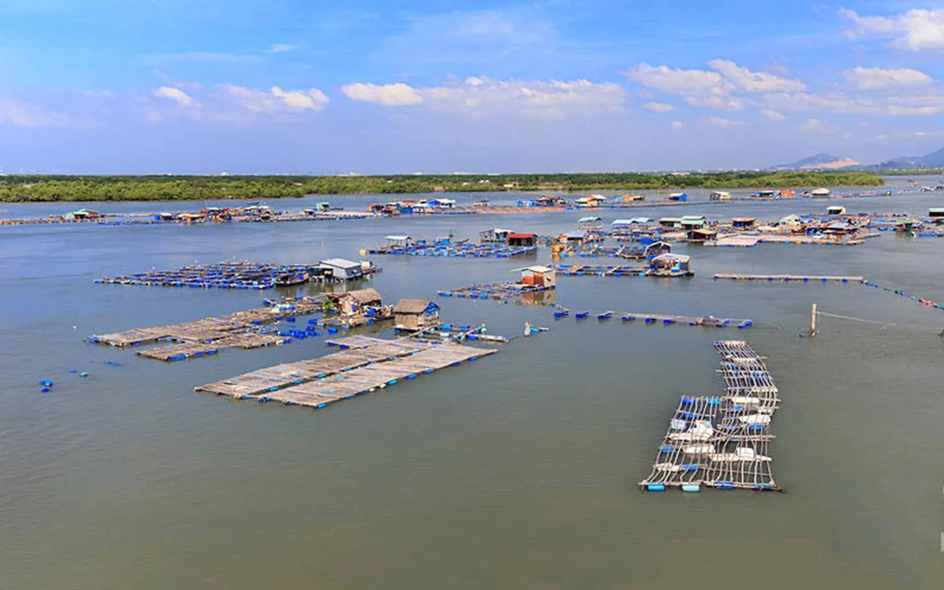 lang-be-xa-long-son-tp-vung-tau