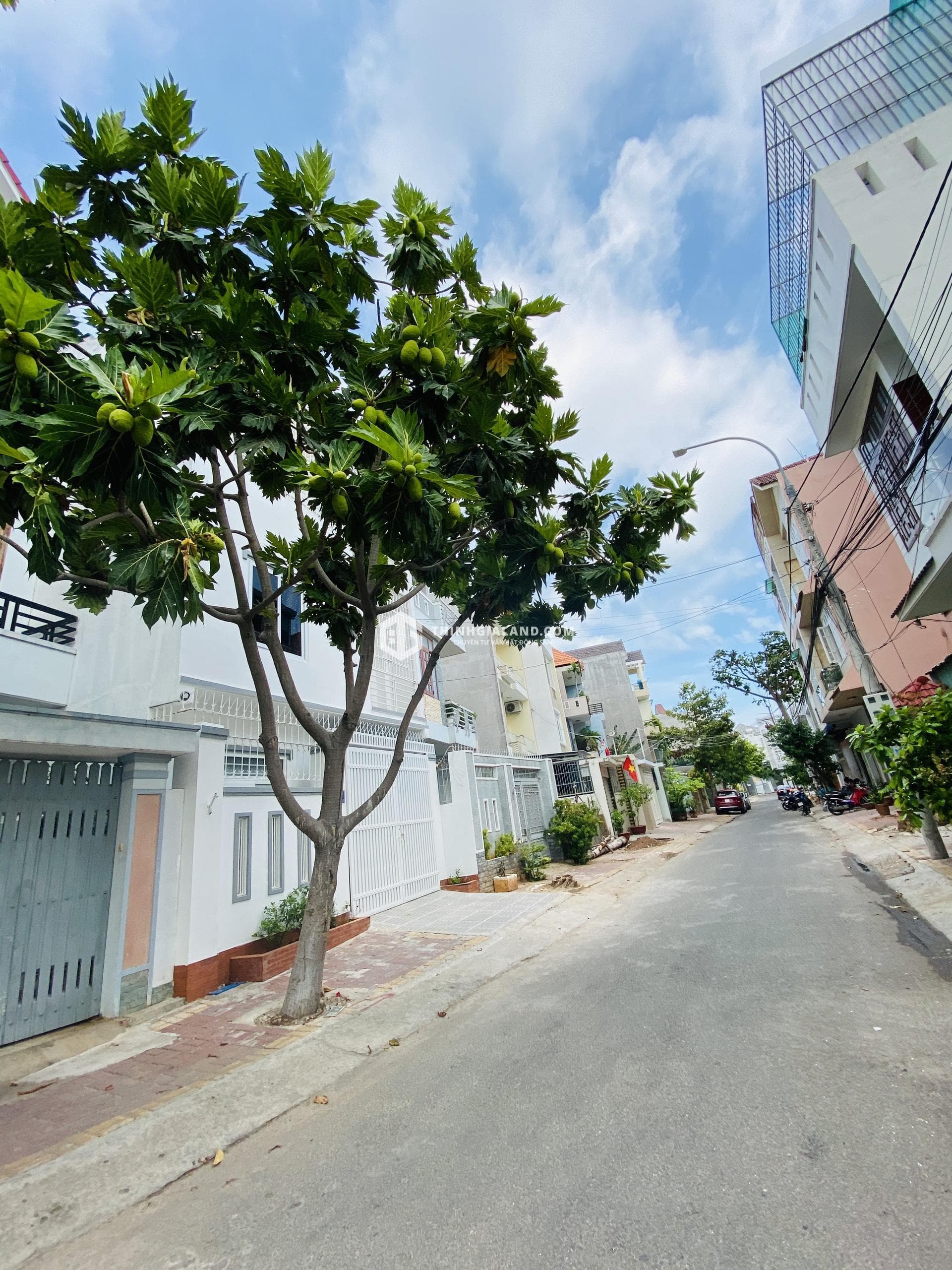 BÁN LÔ ĐẤT 80m2 CÓ THỔ CƯ ĐƯỜNG BẾN ĐÌNH PHƯỜNG THẮNG NHÌ GIÁ 4 TỶ CÒN BỚT – ảnh 1