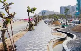 bai sau vung tau Bãi Sau Vũng Tàu - Hình mẫu đô thị biển hiện đại