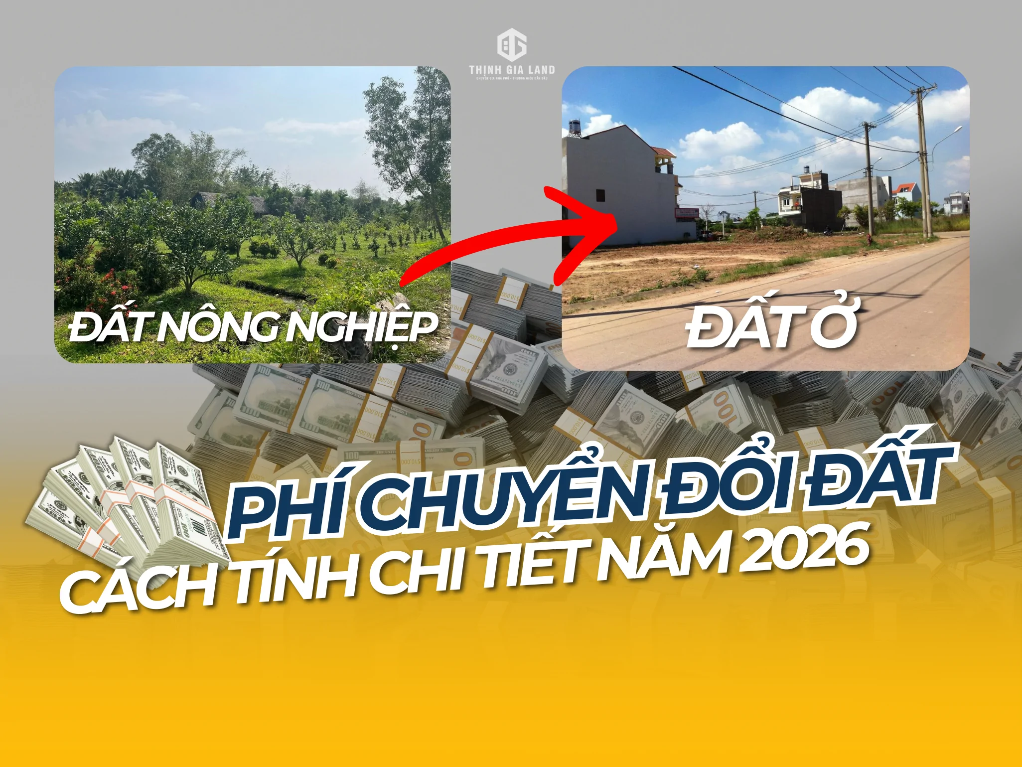 phí chuyển đổi đất trồng cây lâu năm sang đất ở