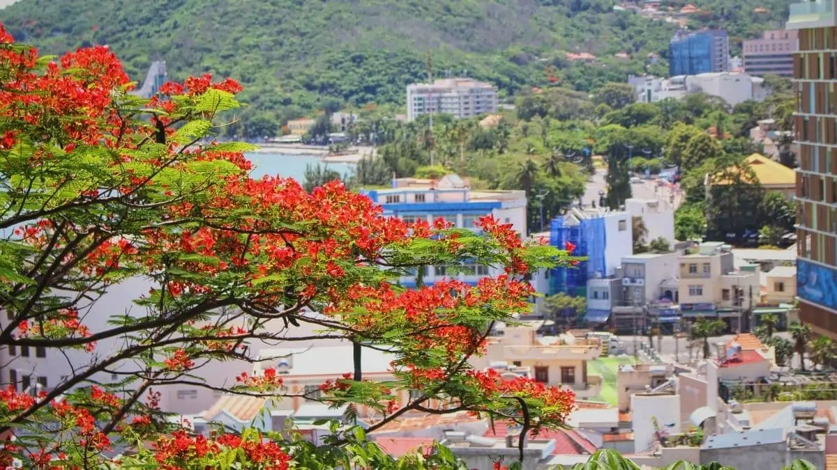 Quy hoạch Vũng Tàu thơ mộng